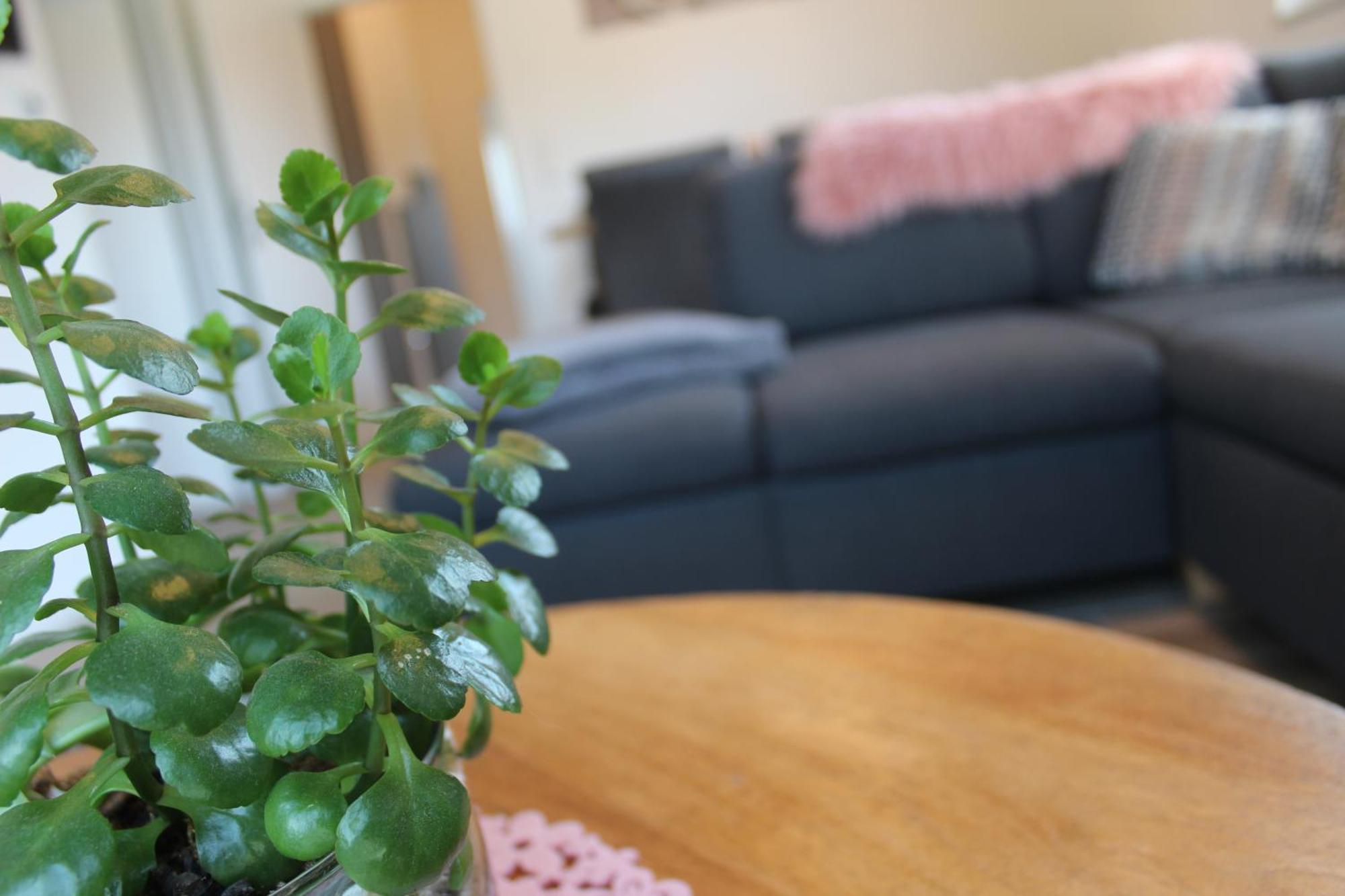 Ferienhaus Seehuis, Sauna, Angeln, Familienfreundlich Twist 외부 사진